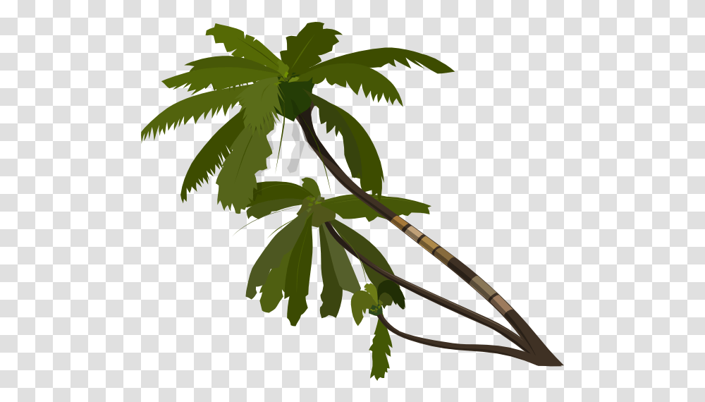 Download Vector Palm Trees Clip Art Palm Tree Palm Tree Clip Art, Plant, Leaf, Flower, Blossom Transparent Png