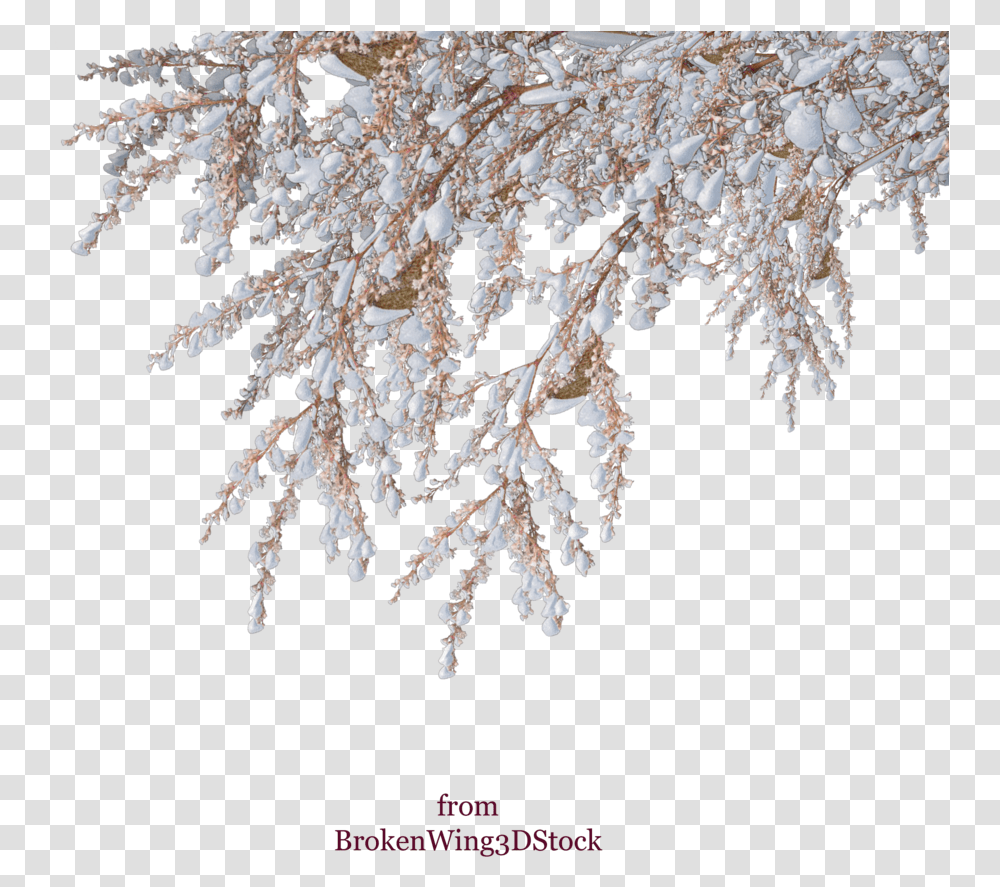 Download Vector Snow Winter Shrub Tree Snow Tree Branches, Ice, Outdoors, Nature, Frost Transparent Png