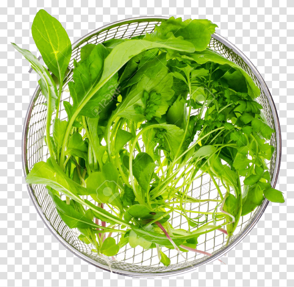 Download Vegetable Green Leaves Water Spinach, Plant, Vase, Jar, Pottery Transparent Png