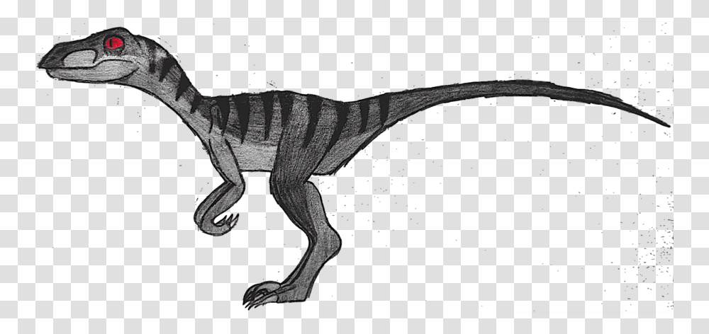 Download Velociraptor Drawing Clipart Velociraptor Drawing Clip, Dinosaur, Reptile, Animal, T-Rex Transparent Png