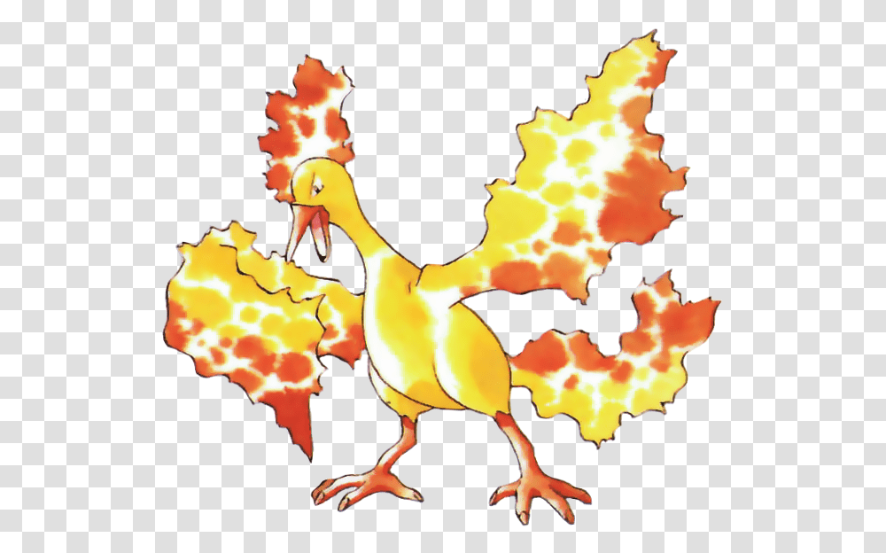 Download View Moltres Rb Moltres Pokemon Red, Animal, Bird, Bonfire, Flame Transparent Png