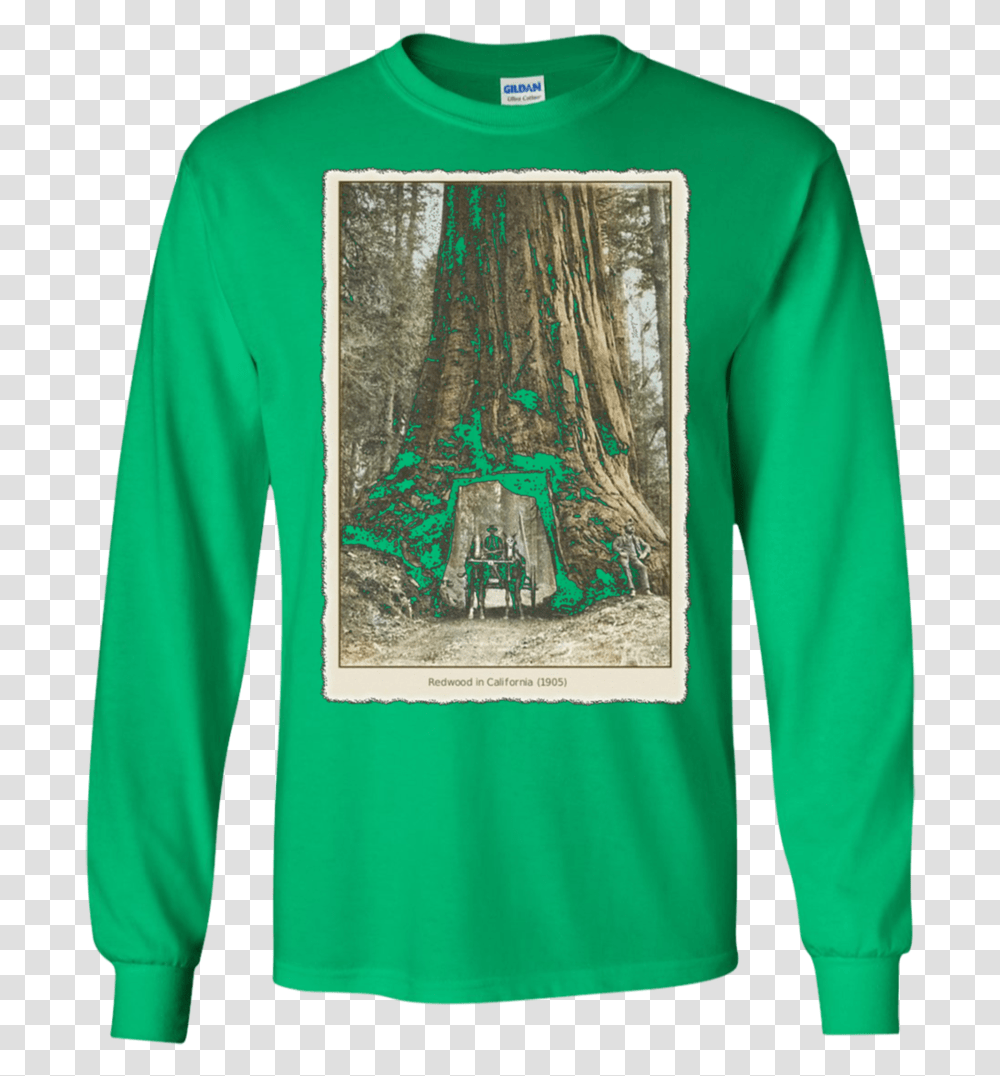 Download Vintage Redwood Forest Funky T Shirt, Sleeve, Clothing, Apparel, Long Sleeve Transparent Png