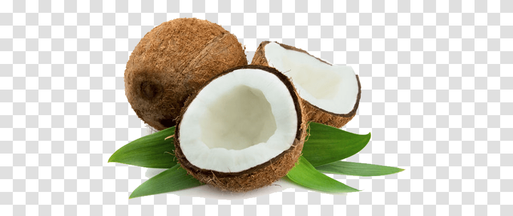 Download Virgin Coconut Oil Vitamin E And Coconut Oil For Hair, Plant, Vegetable, Food, Fruit Transparent Png