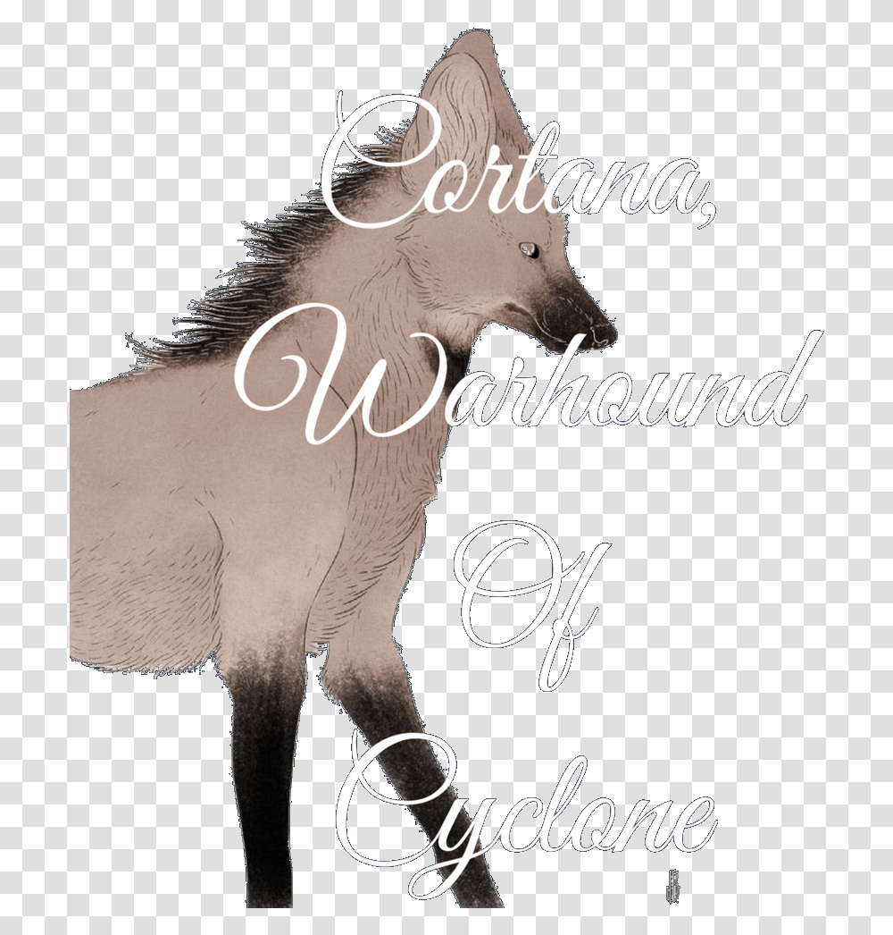 Download Warhound Cortana Mane Image With No Foal, Mammal, Animal, Horse, Wildlife Transparent Png