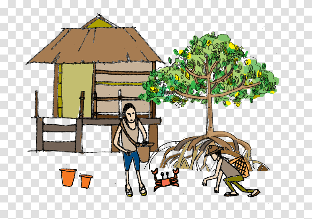 Download Watch This Video To See The Huge Benefits Mangrove Mangrove, Person, Housing, Building, Shelter Transparent Png
