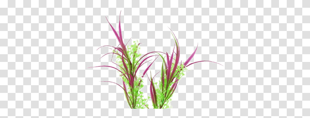 Download Water Grass Image With No Background Artificial Aquarium Plant, Flower, Pollen, Purple, Moss Transparent Png