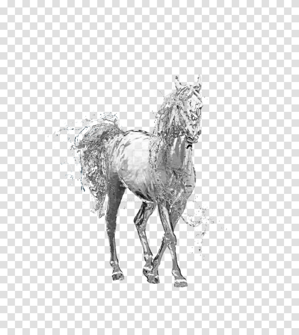 Download Water Horse Water Water Horse, Mammal, Animal, Art, Silhouette Transparent Png