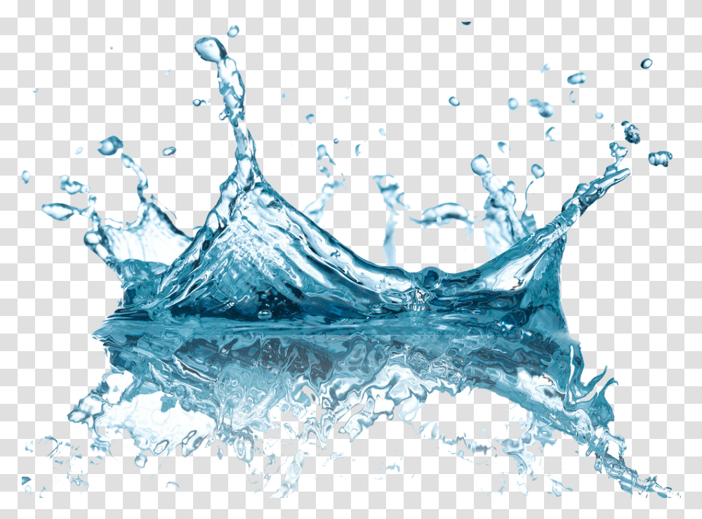 Download Water Image Free Drops Images Background Water Splash, Droplet, Bird, Animal, Outdoors Transparent Png