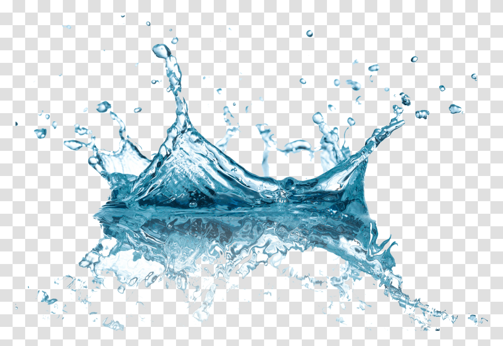 Download Water Splash Image With No Background Water Splash, Droplet, Outdoors, Bird, Animal Transparent Png