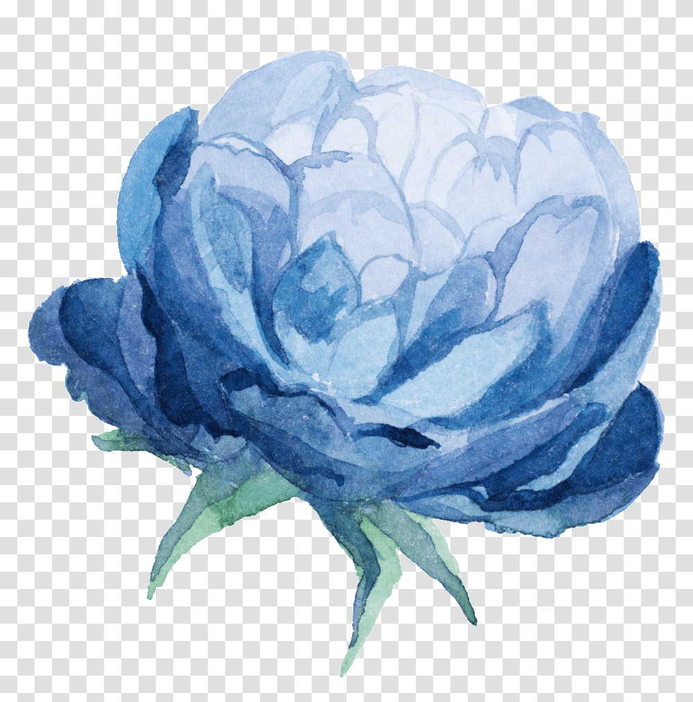 Download Watercolor Blue Flower Blue Watercolour Flower, Plant, Blossom, Geranium, Rose Transparent Png