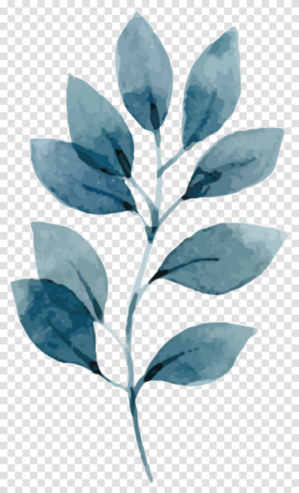 Download Watercolor Leaves Watercolour Tropical Leaves Leaf, Plant, Iris, Flower, Blossom Transparent Png