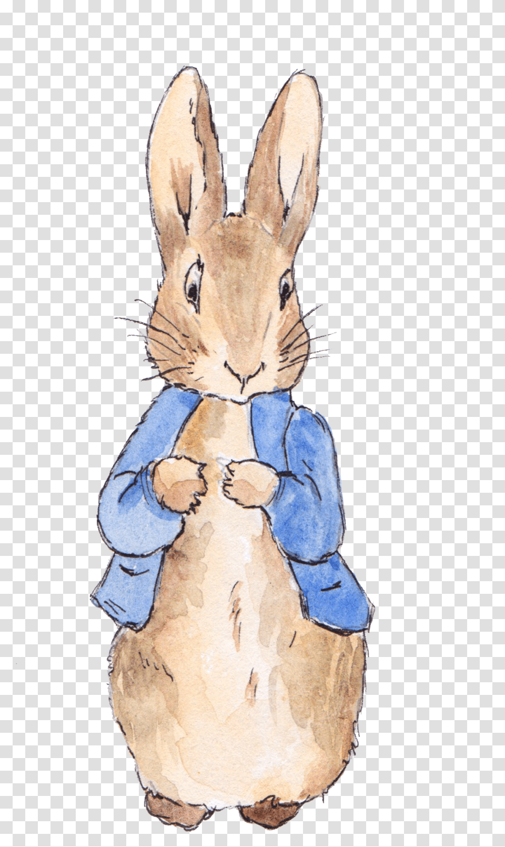 Download Watercolor Love Painted Of Invitation Tale Birthday Peter Rabbit, Mammal, Animal, Rodent, Bunny Transparent Png