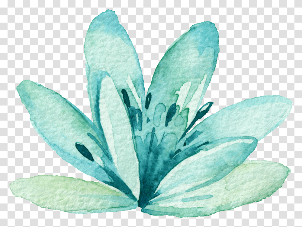 Download Watercolor Mint Blue Watercolor Flower, Plant, Pollen, Petal, Geranium Transparent Png