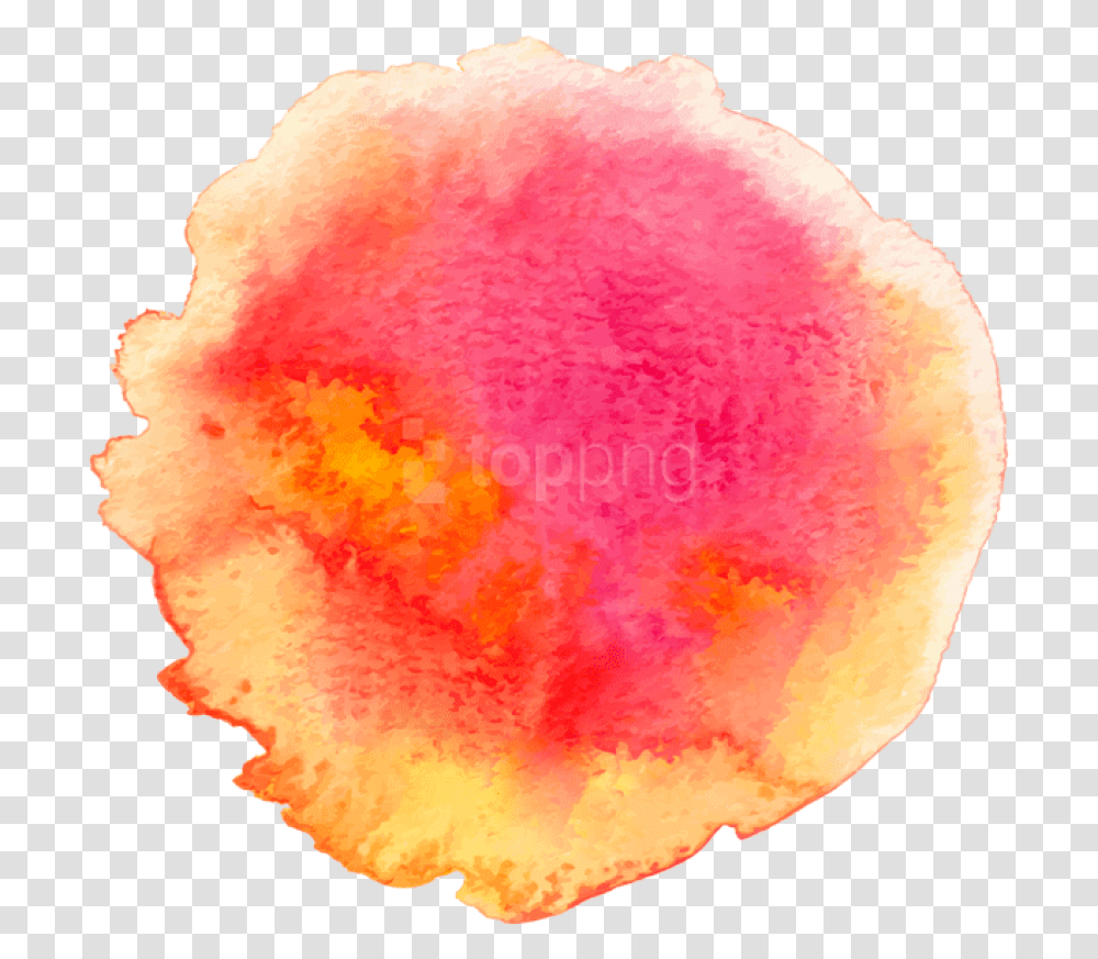 Download Watercolor Paint Clipart Watercolor Paint, Fungus, Plant, Flower, Blossom Transparent Png