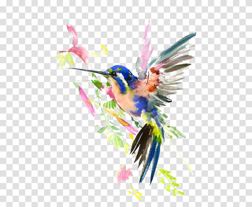 Download Watercolor Painting Drawing Hummingbird Hq Watercolour Hummingbird, Bluebird, Animal, Jay, Bee Eater Transparent Png
