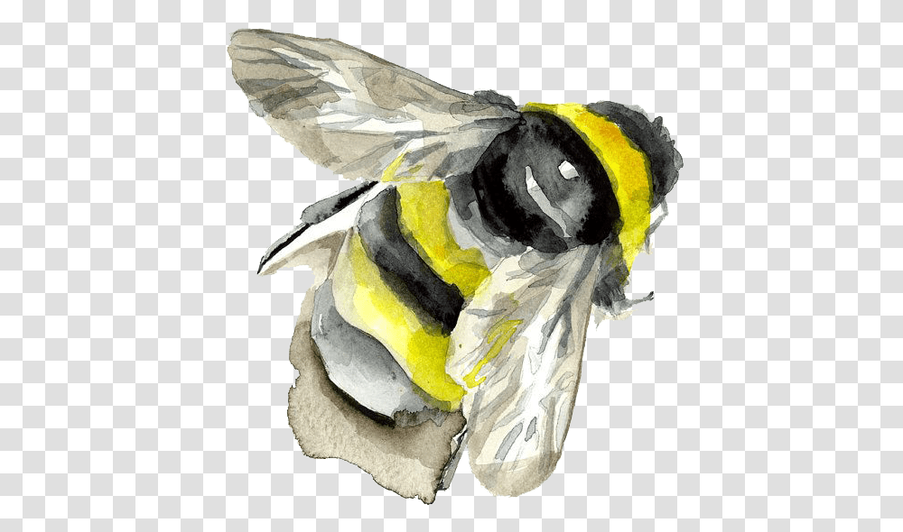Download Watercolor Painting Insect Bumblebee Bee Free Bee Painting, Apidae, Invertebrate, Animal, Wasp Transparent Png