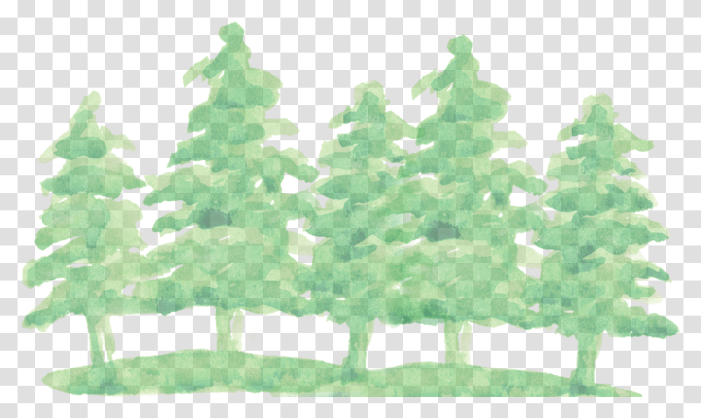 Download Watercolor Pine Tree Watercolor Pine Green, Plant, Rug, Gemstone, Jewelry Transparent Png