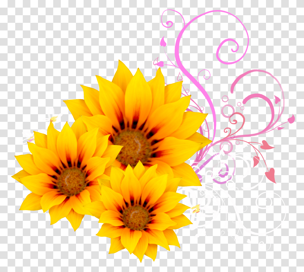 Download Watercolor Sunflower Sunflower Pink, Graphics, Art, Floral Design, Pattern Transparent Png