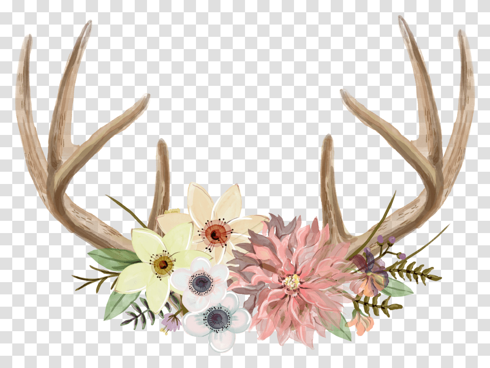 Download Watercolour Antler Full Size Image Pngkit Printable Antlers With Flowers, Plant, Blossom, Pottery, Jar Transparent Png