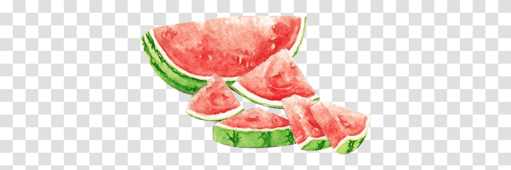 Download Watermelon Watercolour Watermelon Watercolor Frutos, Plant, Fruit, Food Transparent Png