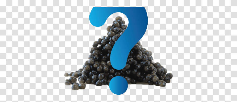 Download What Is Caviar Caviar, Plant, Blueberry, Fruit, Food Transparent Png