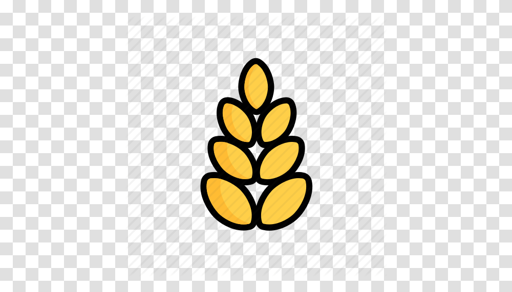 Download Wheat Clipart Wheat Clip Art Wheat Illustration, Seed, Grain, Produce Transparent Png