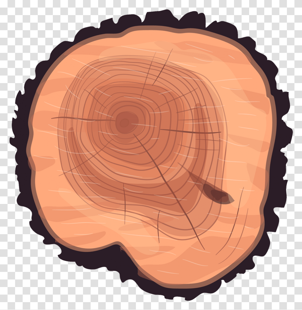 Download Wheel Eucalyptus Stump Tree Cartoon Tree Trunk Texture, Rock, Wood, Mountain, Outdoors Transparent Png
