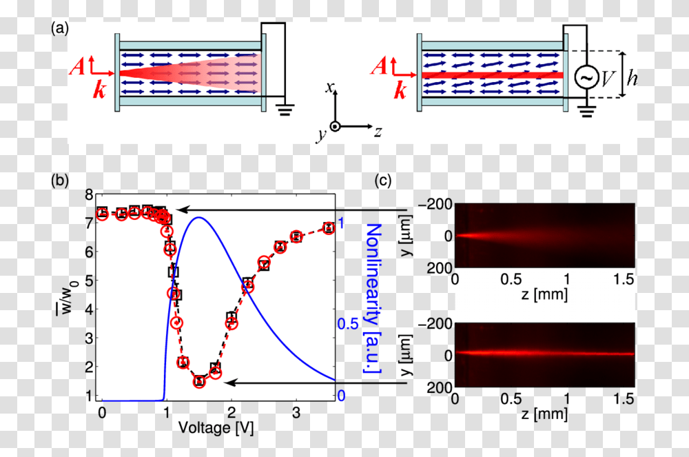 Download When No Voltage Is Applied A Light Beam Of Diagram, Plot, Number, Symbol, Text Transparent Png