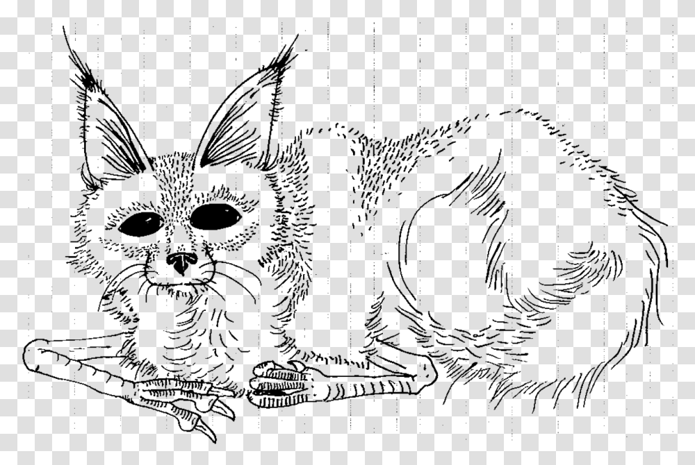 Download Where The Wild Things Are Coloring Pages Sketch, Cat, Pet, Mammal, Animal Transparent Png