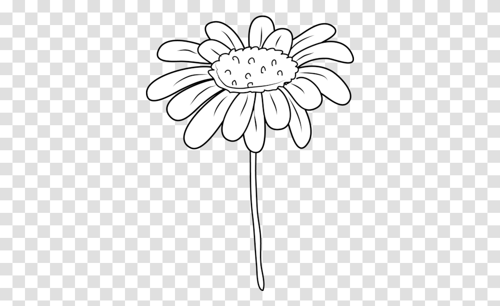 Download White Daisy Drawing Daisy Flower Clipart Black And White, Plant, Daisies, Blossom, Lamp Transparent Png