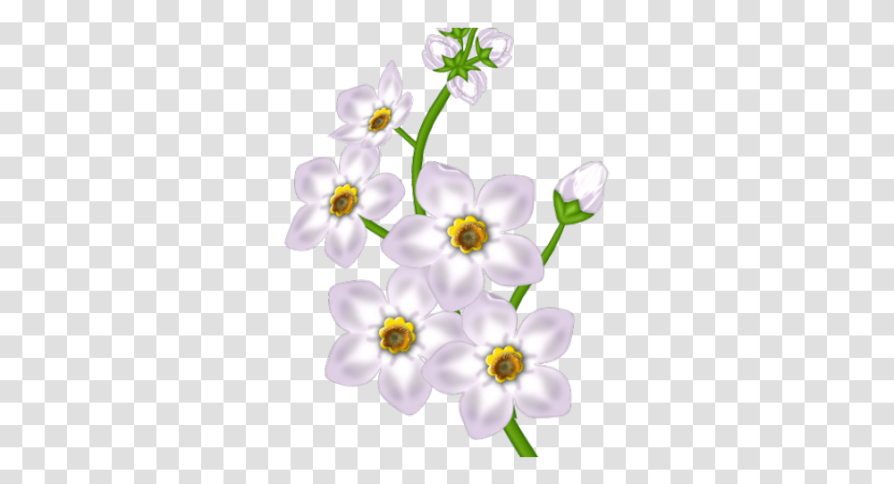 Download White Flower Clipart Good Morning Messages Marathi Download, Plant, Blossom, Anemone, Petal Transparent Png