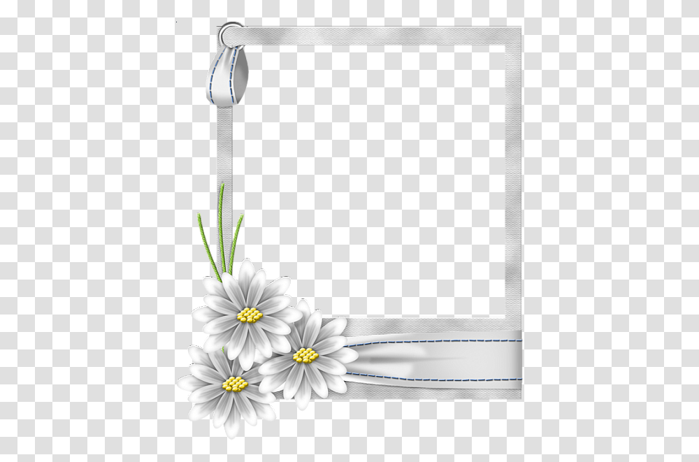 Download White Flower Frame Free White Flower Frame, Plant, Daisy, Daisies, Blossom Transparent Png