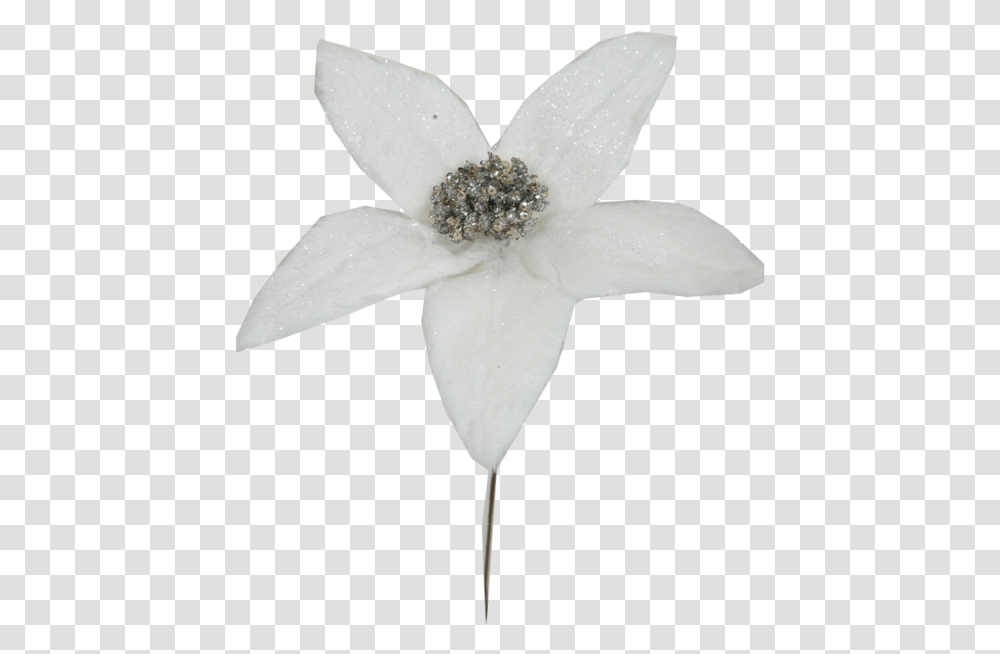 Download White Glitter Poinsettia Pick Artificial Flower, Plant, Diamond, Gemstone, Jewelry Transparent Png