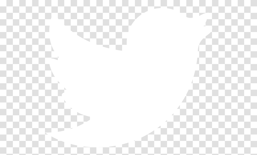 Download White Twitter Twitter Logo White, Symbol, Stomach, Trademark, Label Transparent Png