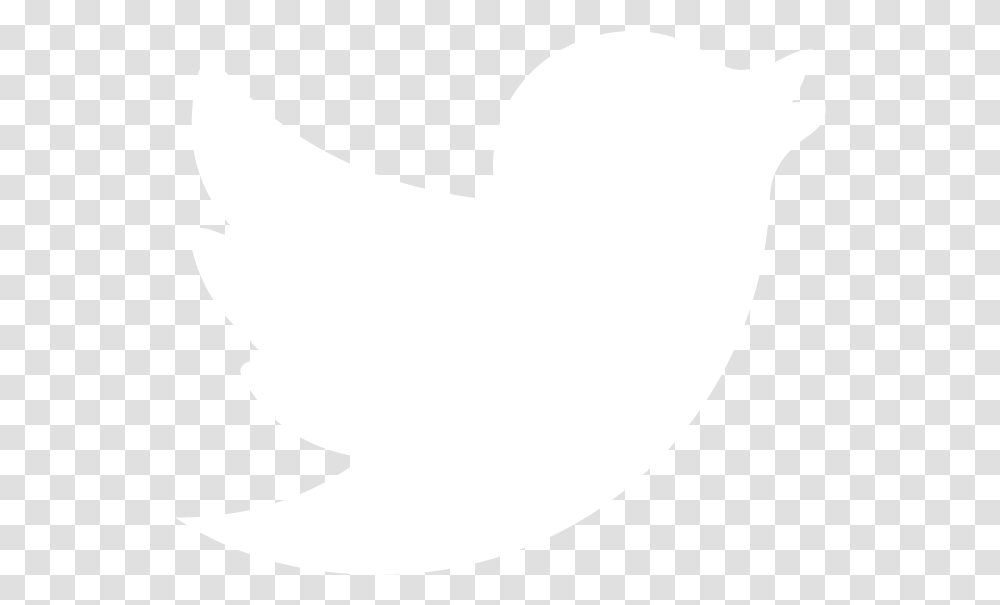 Download White Twitter Twitter Logo White Symbol Stomach Trademark Label Transparent Png Pngset Com