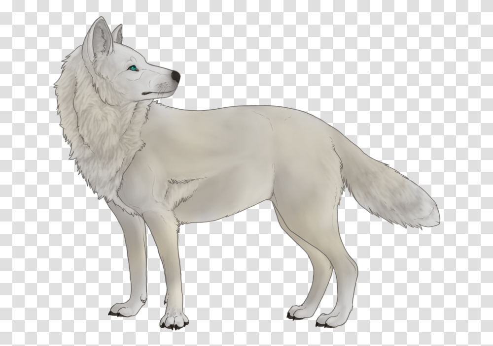 Download White Wolf Thing White Wolf No Background Full Anime White Wolf, Mammal, Animal, Horse, Coyote Transparent Png