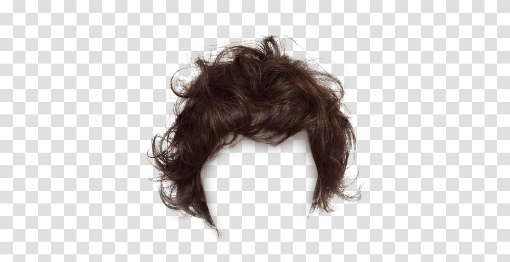 Download Wig Clips Hairstyle Short Pull Short Curly Hair, Person, Human, Black Hair Transparent Png