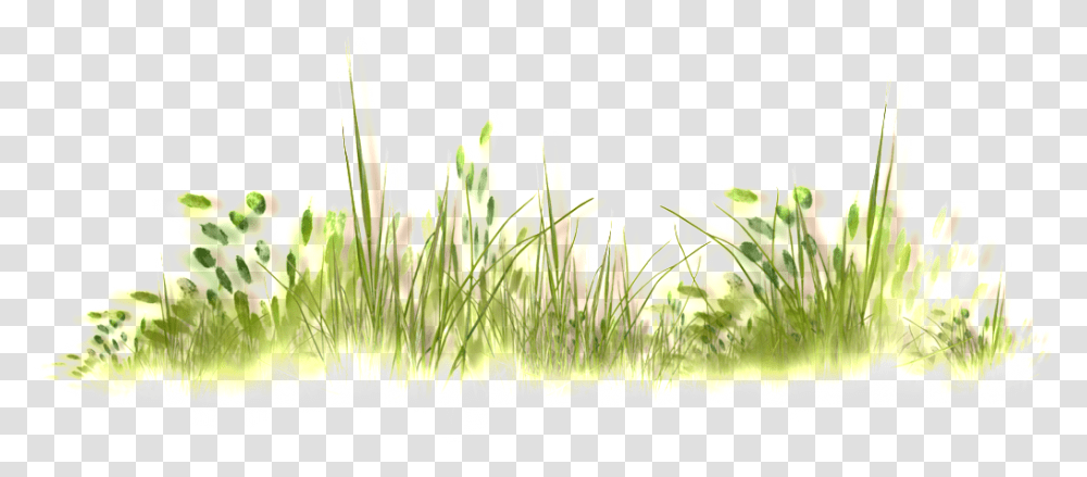 Download Wild Grass Thick Watercolor Grass, Plant, Green, Flower, Graphics Transparent Png