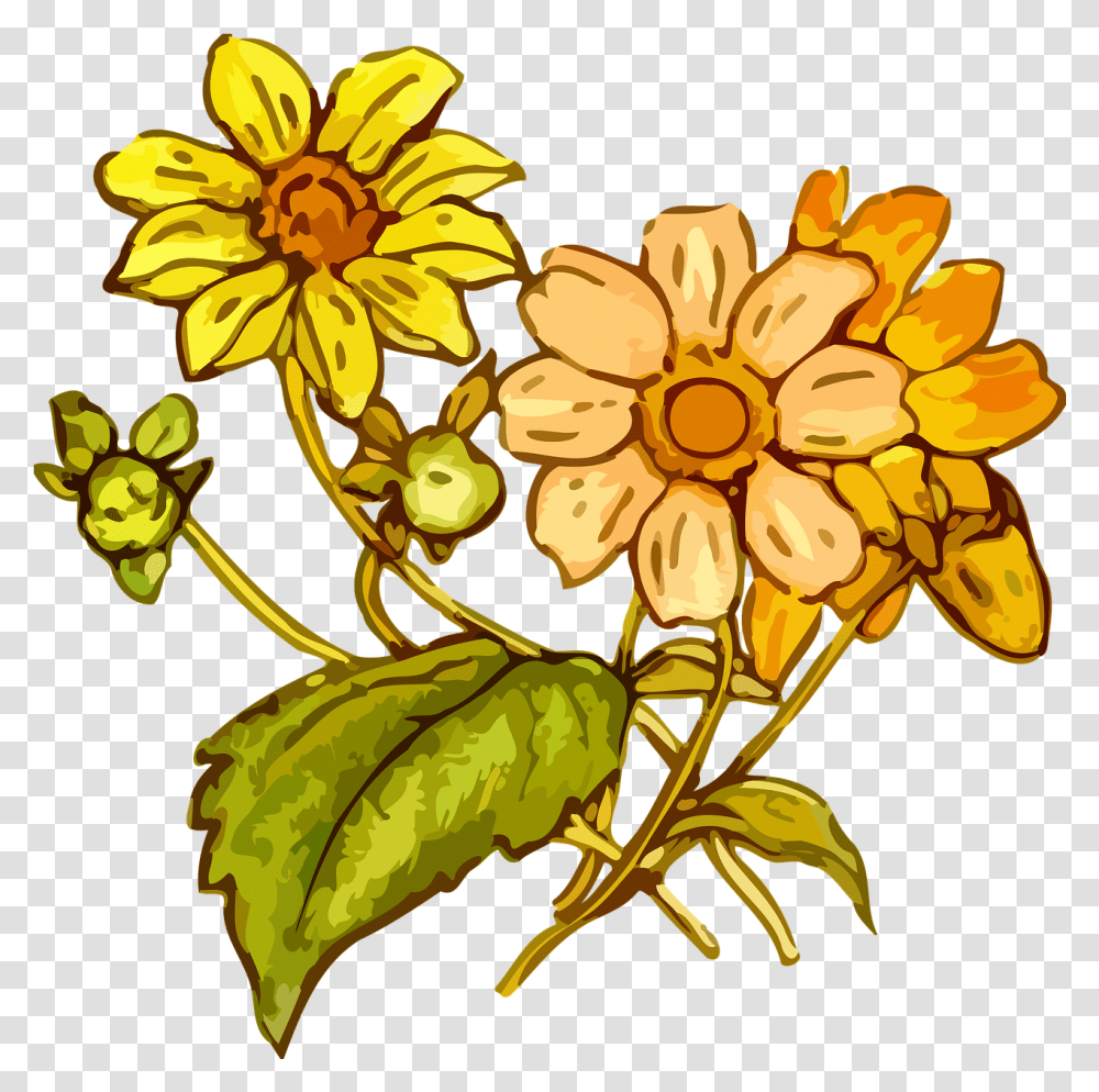 Download Wildflowers Drawing The Best 2 Yellow Flower Cretaceous Plants Line Art, Blossom, Treasure Flower, Daisy, Daisies Transparent Png