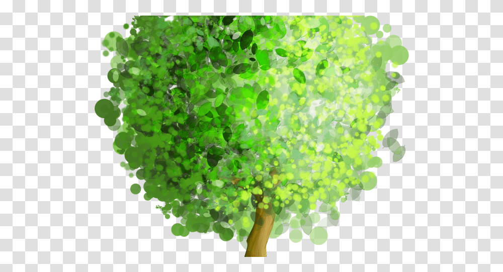 Download Willow Tree Clipart Tree Art, Plant, Vegetation, Green, Leaf Transparent Png