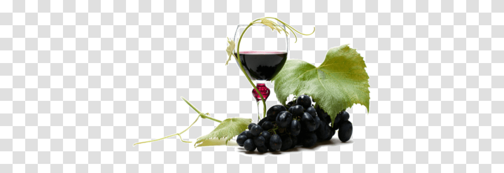 Download Wine Clipart Wine, Alcohol, Beverage, Drink, Red Wine Transparent Png