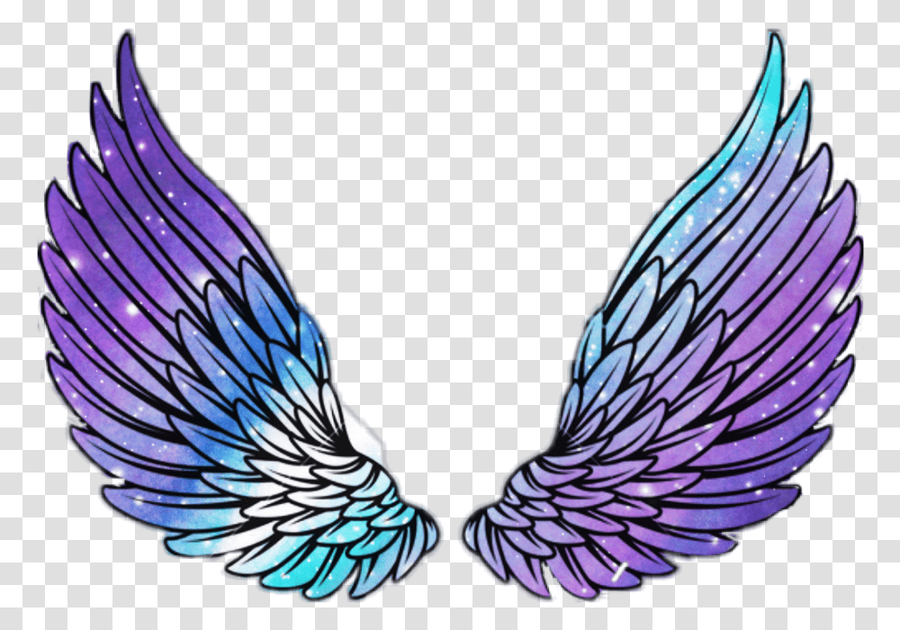 Download Wings Angel Angelwings Space Galaxy Stars Star Wing Tik Tok Stickers, Bird, Animal, Jay, Pattern Transparent Png