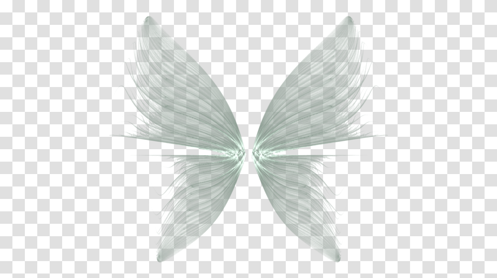 Download Wings Background Fairy Wings Background, Pattern, Flower Transparent Png