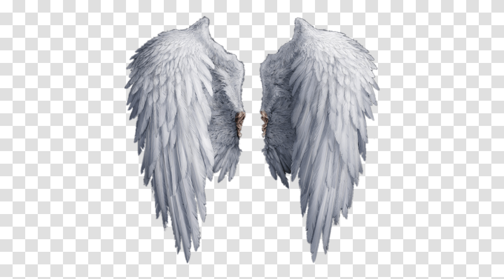 Download Wings Free Realistic Angel Wings, Bird, Animal, Art, Archangel Transparent Png