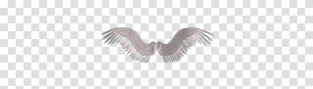 Download Wings Tattoos Free Image And Clipart, Vulture, Bird, Animal, Flying Transparent Png