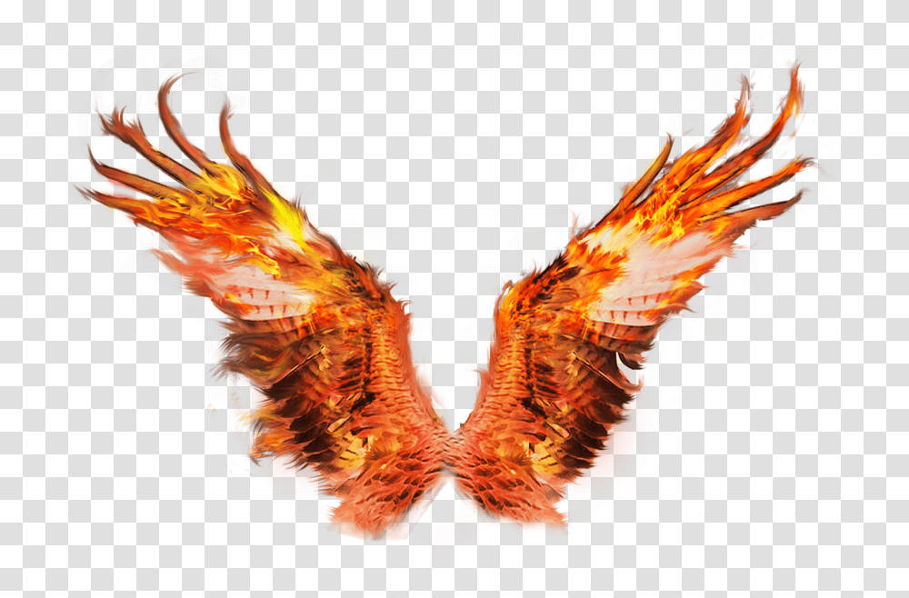 Download Wings Tigers Fire Wing Image Fire Wings, Pattern, Ornament, Fractal, Art Transparent Png