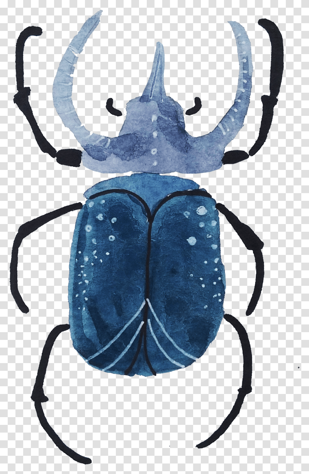 Download With Both Watercolors And Gouache Dung Beetle Dung Beetle, Insect, Invertebrate, Animal, Ant Transparent Png