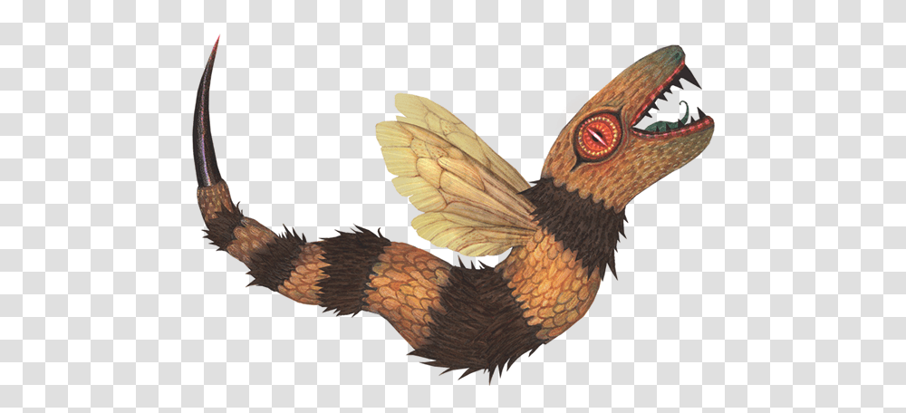 Download With Its Staring Eyes Sharp Teeth And The Power To Dragon, Bird, Animal, Beak, Art Transparent Png