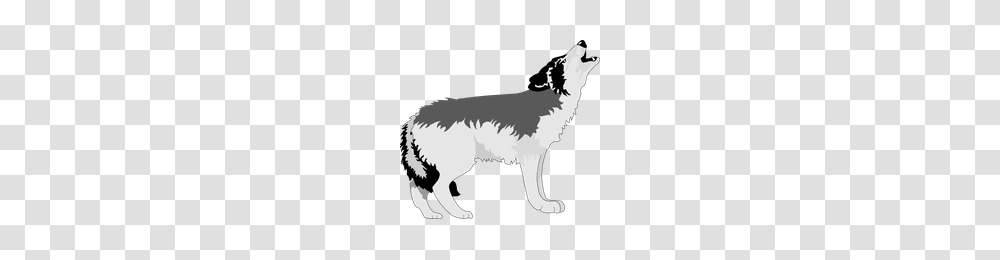 Download Wolf Category Clipart And Icons Freepngclipart, Pet, Animal, Mammal, Canine Transparent Png