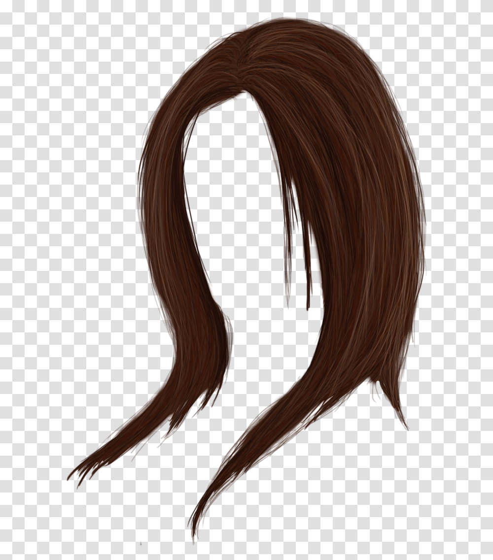 Download Women Hair Image Hq Cute Hair, Bird, Animal, Horse, Mammal Transparent Png